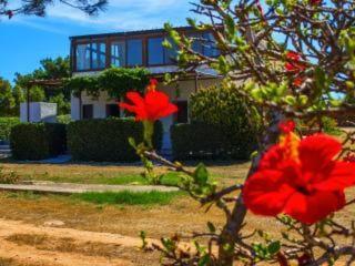 Casa Relax Acqua Marina Apartment Favignana Exterior photo